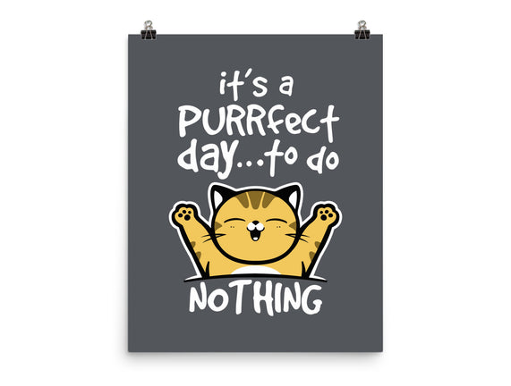 Purrfect Day