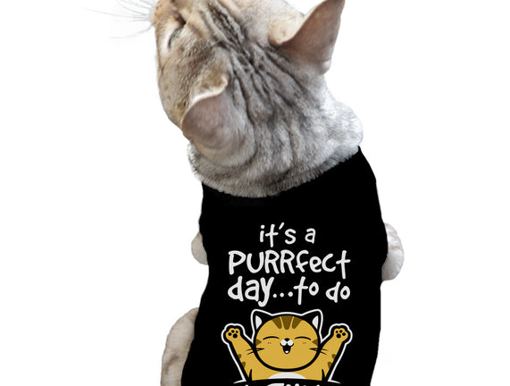 Purrfect Day