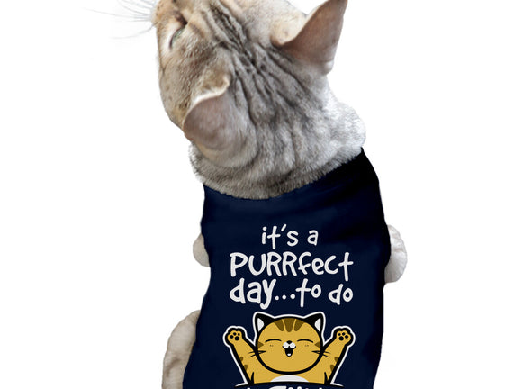 Purrfect Day