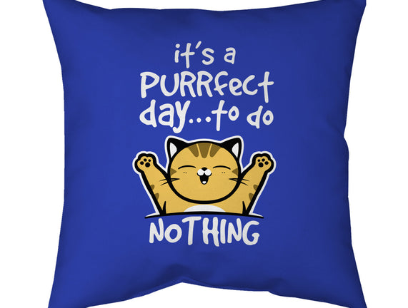 Purrfect Day