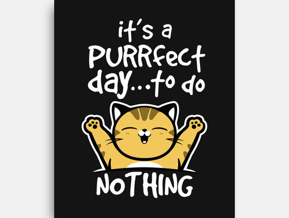 Purrfect Day