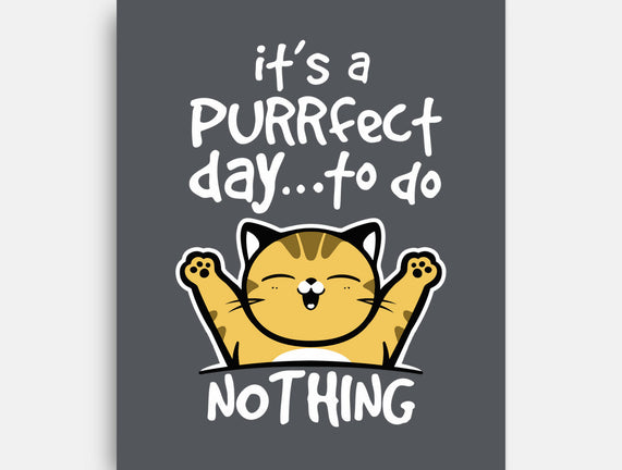 Purrfect Day