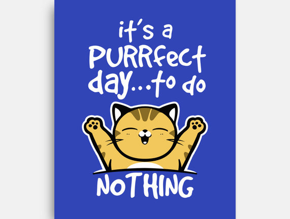 Purrfect Day