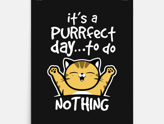 Purrfect Day