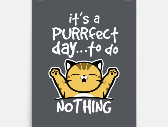 Purrfect Day