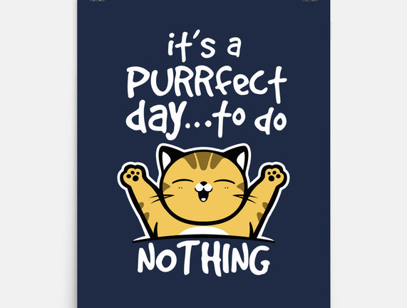Purrfect Day