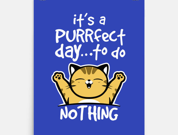 Purrfect Day