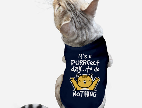 Purrfect Day