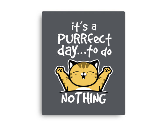 Purrfect Day