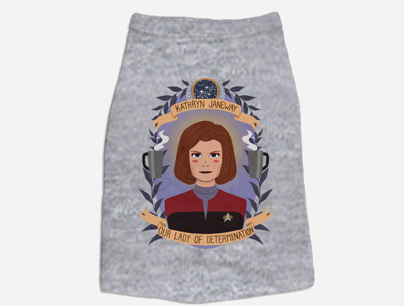 Our Lady of Determination