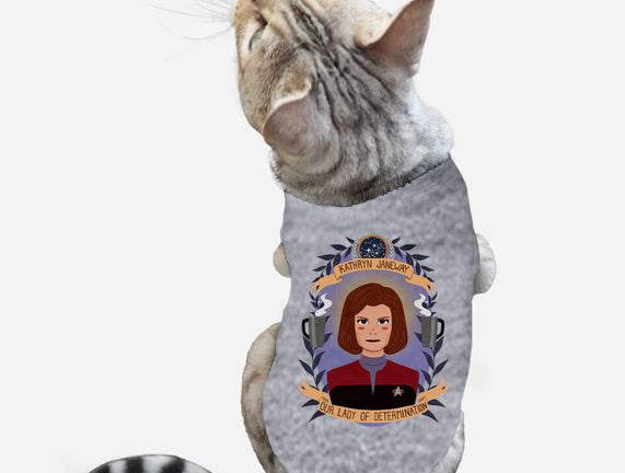 Our Lady of Determination