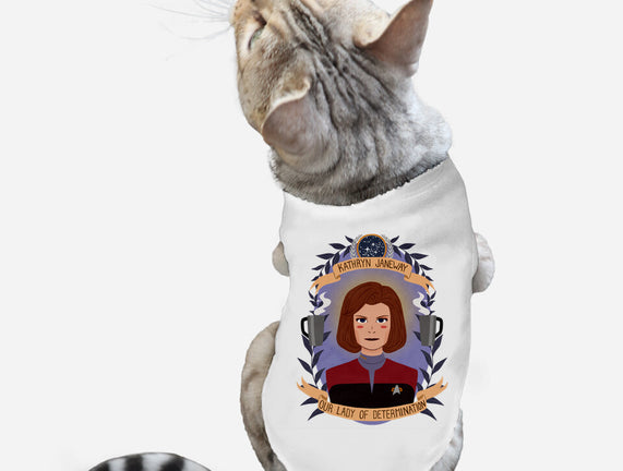Our Lady of Determination