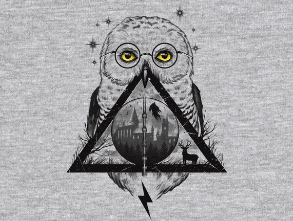 Owls and Wizardry