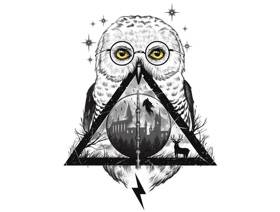 Owls and Wizardry