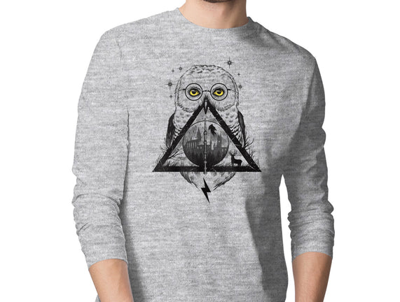 Owls and Wizardry