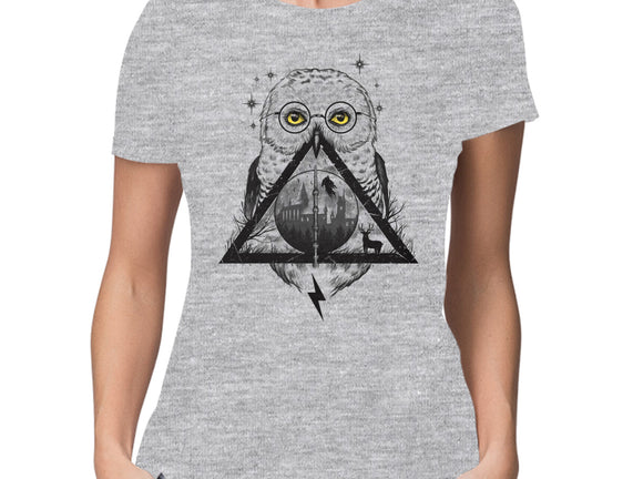 Owls and Wizardry