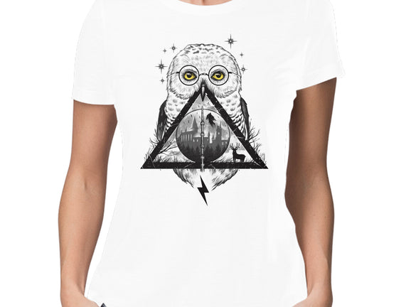 Owls and Wizardry