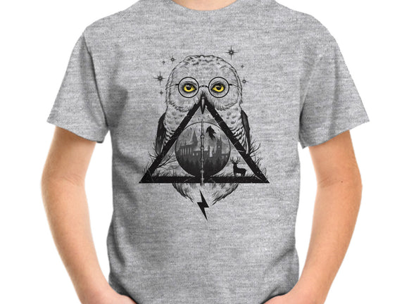 Owls and Wizardry