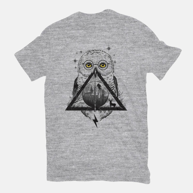 Owls and Wizardry-mens basic tee-vp021