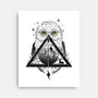 Owls and Wizardry-none stretched canvas-vp021