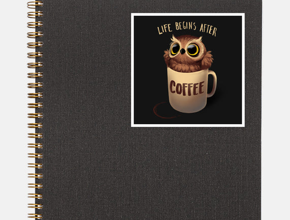 Night Owl