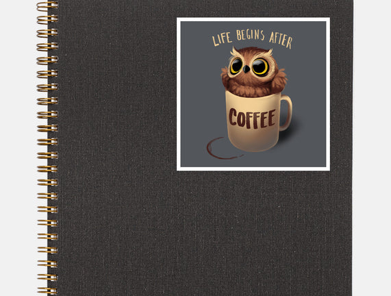 Night Owl