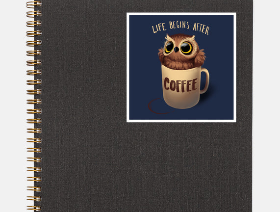 Night Owl