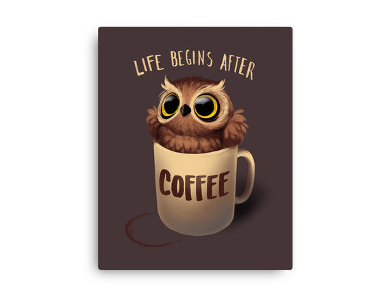 Night Owl