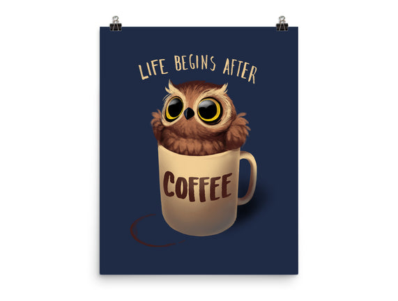 Night Owl