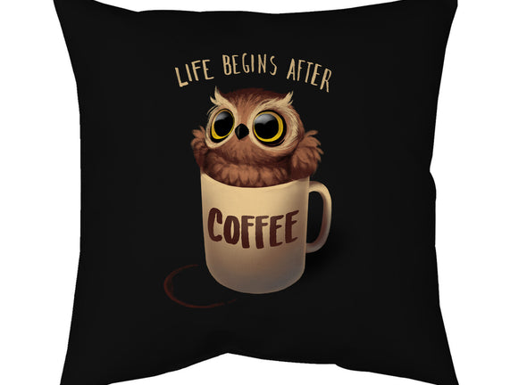 Night Owl