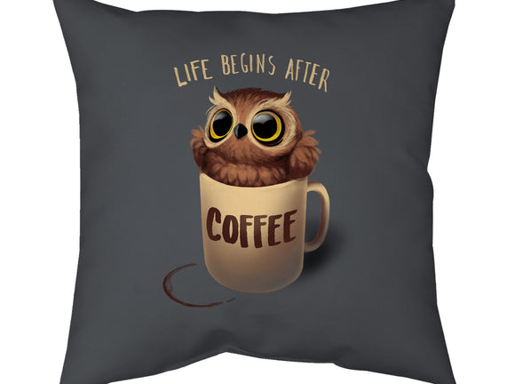 Night Owl