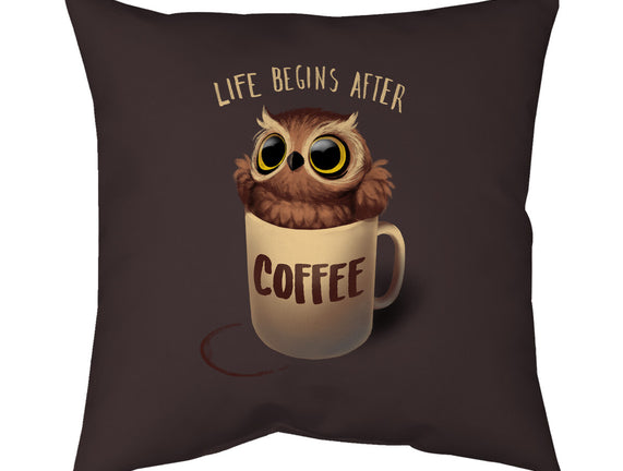 Night Owl