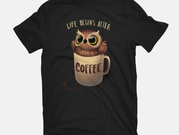 Night Owl