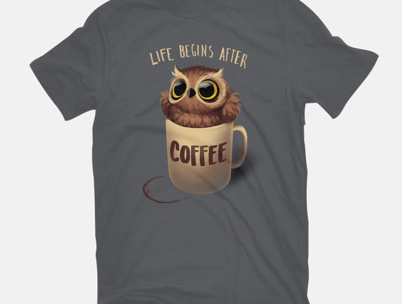 Night Owl