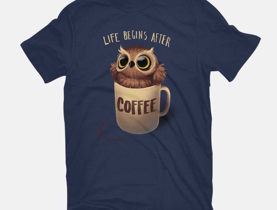 Night Owl