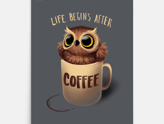 Night Owl