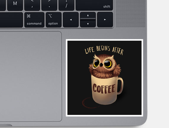 Night Owl