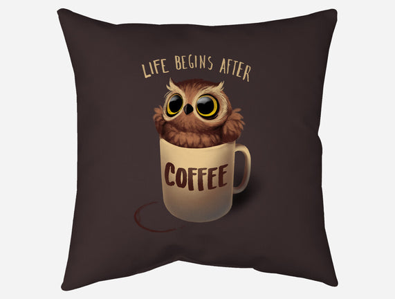 Night Owl