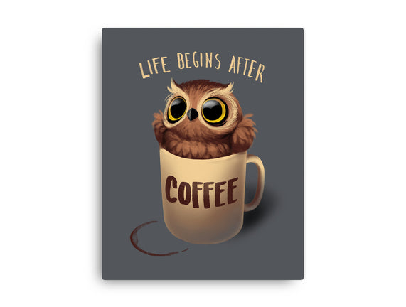 Night Owl