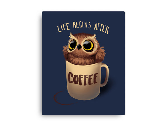 Night Owl