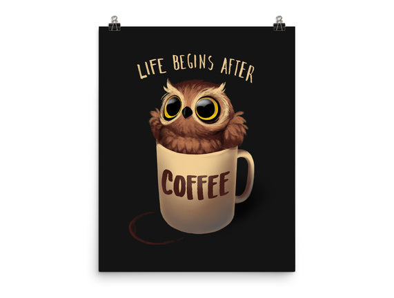 Night Owl