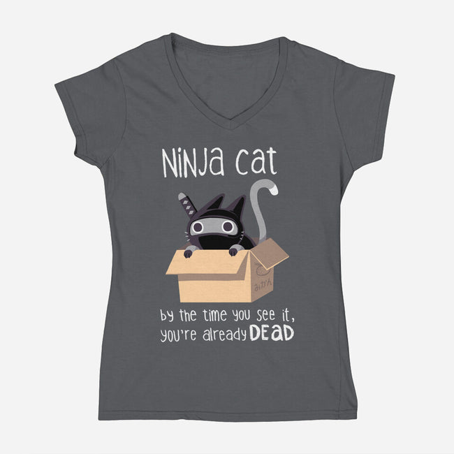 Ninja Cat-womens v-neck tee-BlancaVidal