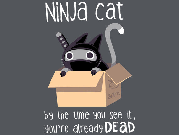 Ninja Cat