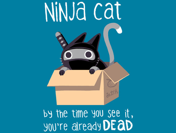 Ninja Cat