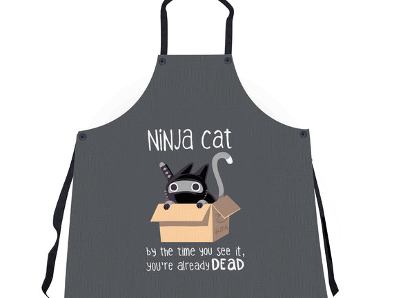 Ninja Cat