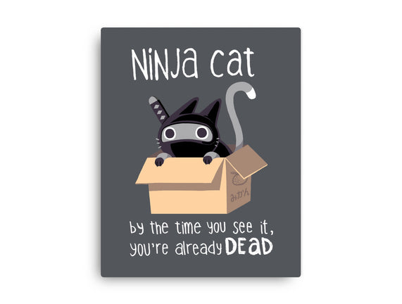 Ninja Cat