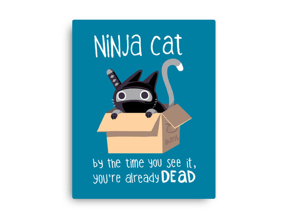 Ninja Cat