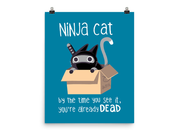 Ninja Cat