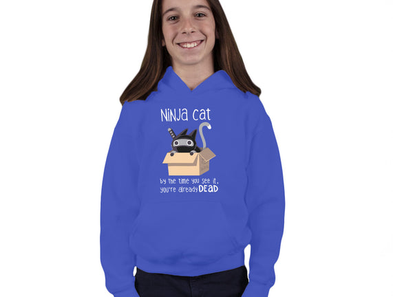 Ninja Cat