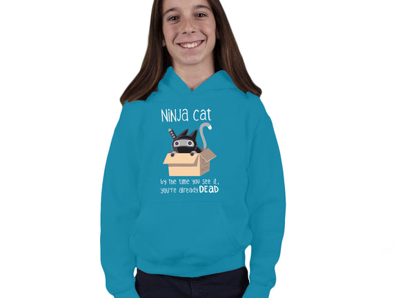 Ninja Cat